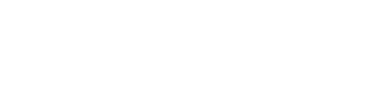 Bravologo